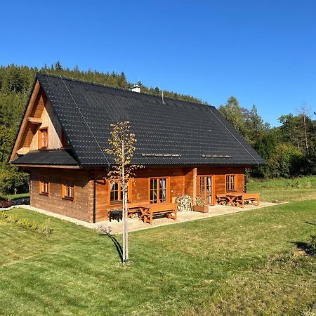 Apartmany Orlice Červená Voda Eksteriør billede