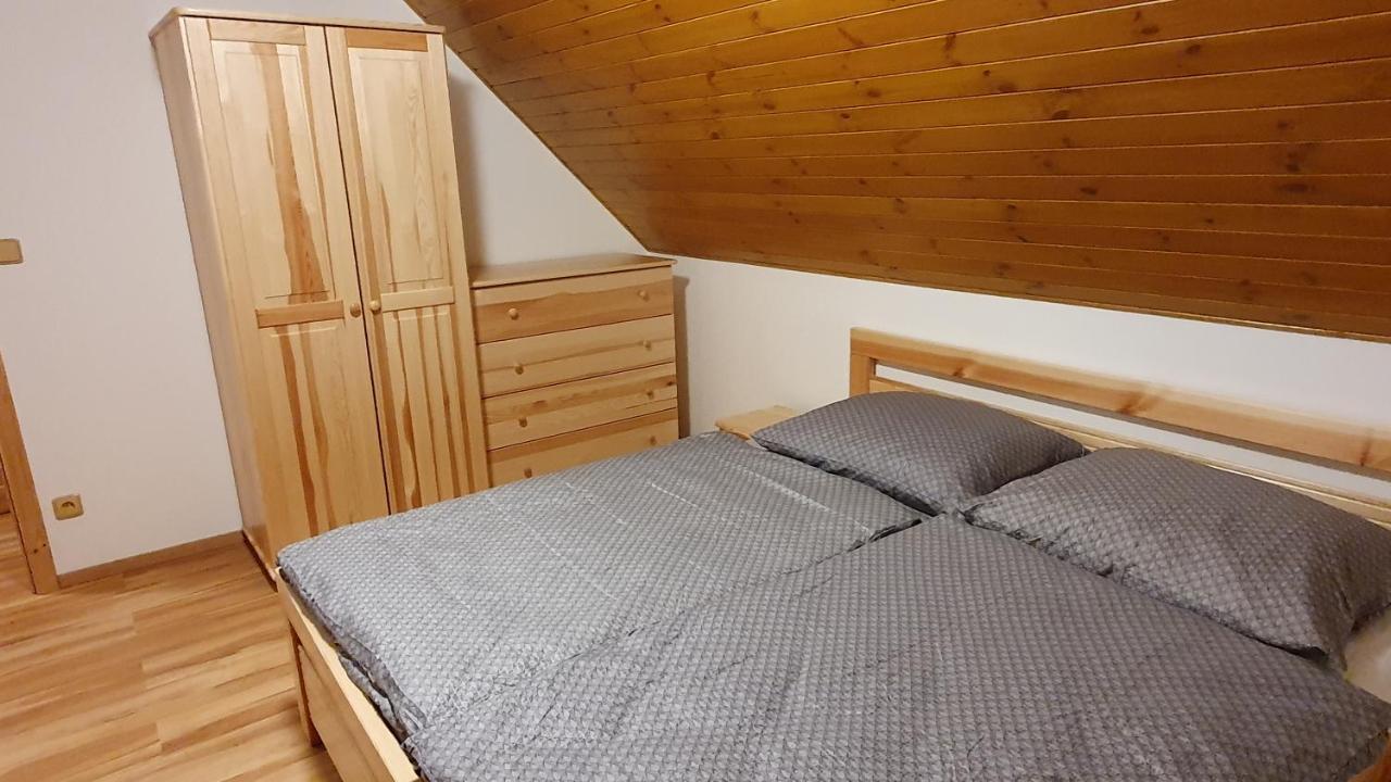 Apartmany Orlice Červená Voda Eksteriør billede
